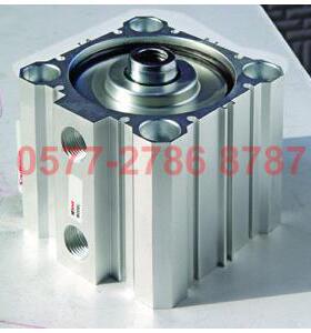 SDA100X5X1X15X200X25X30WX3547478X40X45X50SX60X70X80X90X100NS