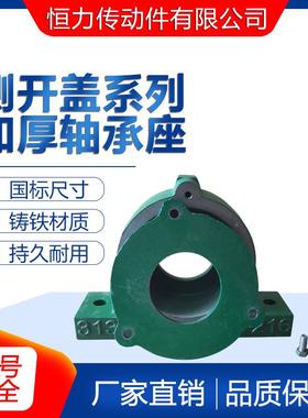 铸铁轴加厚立式侧开口偏盖承座瓦盒35223KSE524