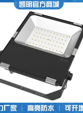 ED应急投光灯20W/200W/150W/1000LW/5W1808足瓦4贴片应急充电投光