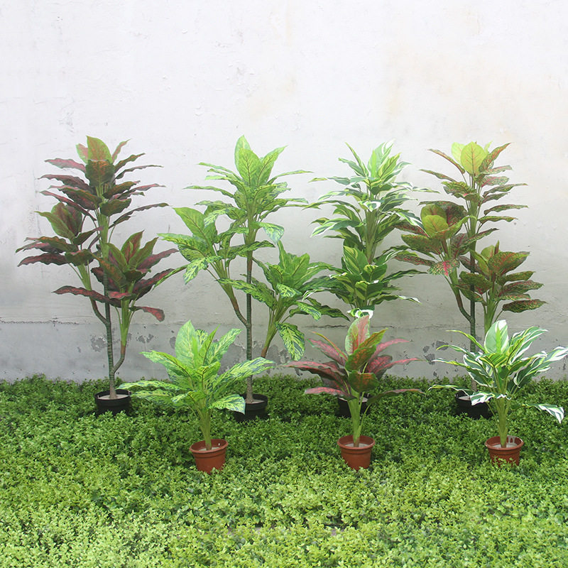 供应 高品质 仿真植物万年青 过胶叶盆栽1.2米 竹芋红掌 量大从优
