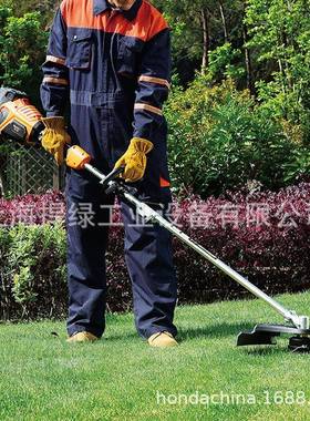 式TP草LT56165TPLT56168V充电割草机多能开荒小型家用剪机功除草