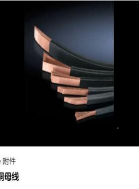 威图Ritt9al配盘LPS459特种ECu母线SV352000成套电装-德国进系统