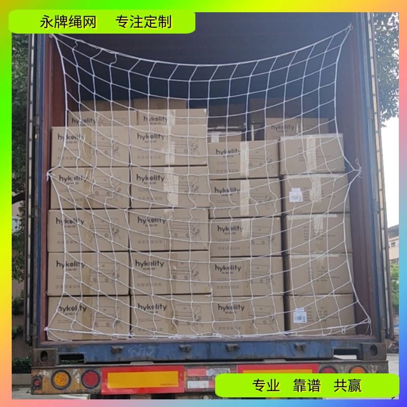 源头厂加工订做封车网 尼龙货柜尾门挂网 聚乙烯集装箱货物防坠网