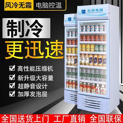 饮啤酒柜商用立式单门冷藏展果示柜水蔬超菜双BSE开门保鲜柜市料