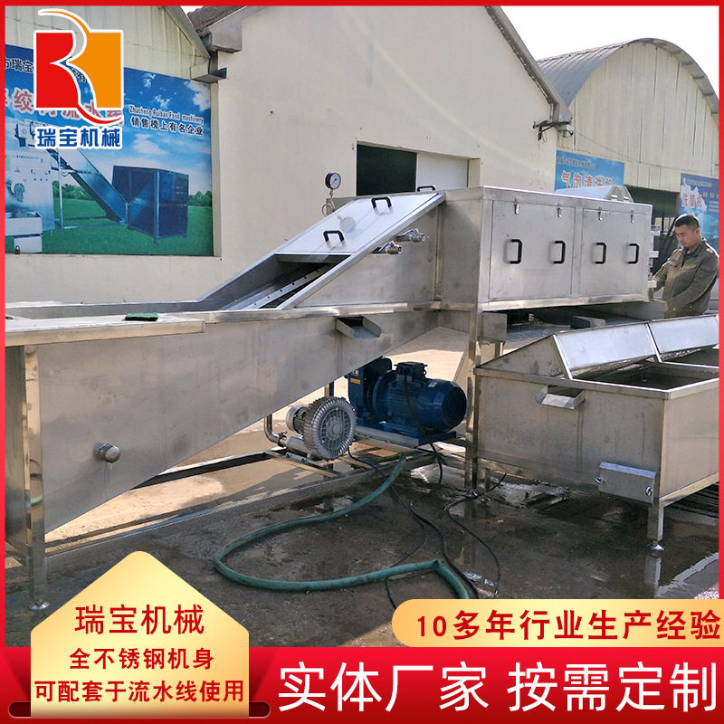 商用循环水气泡喷淋洗姜切片机
