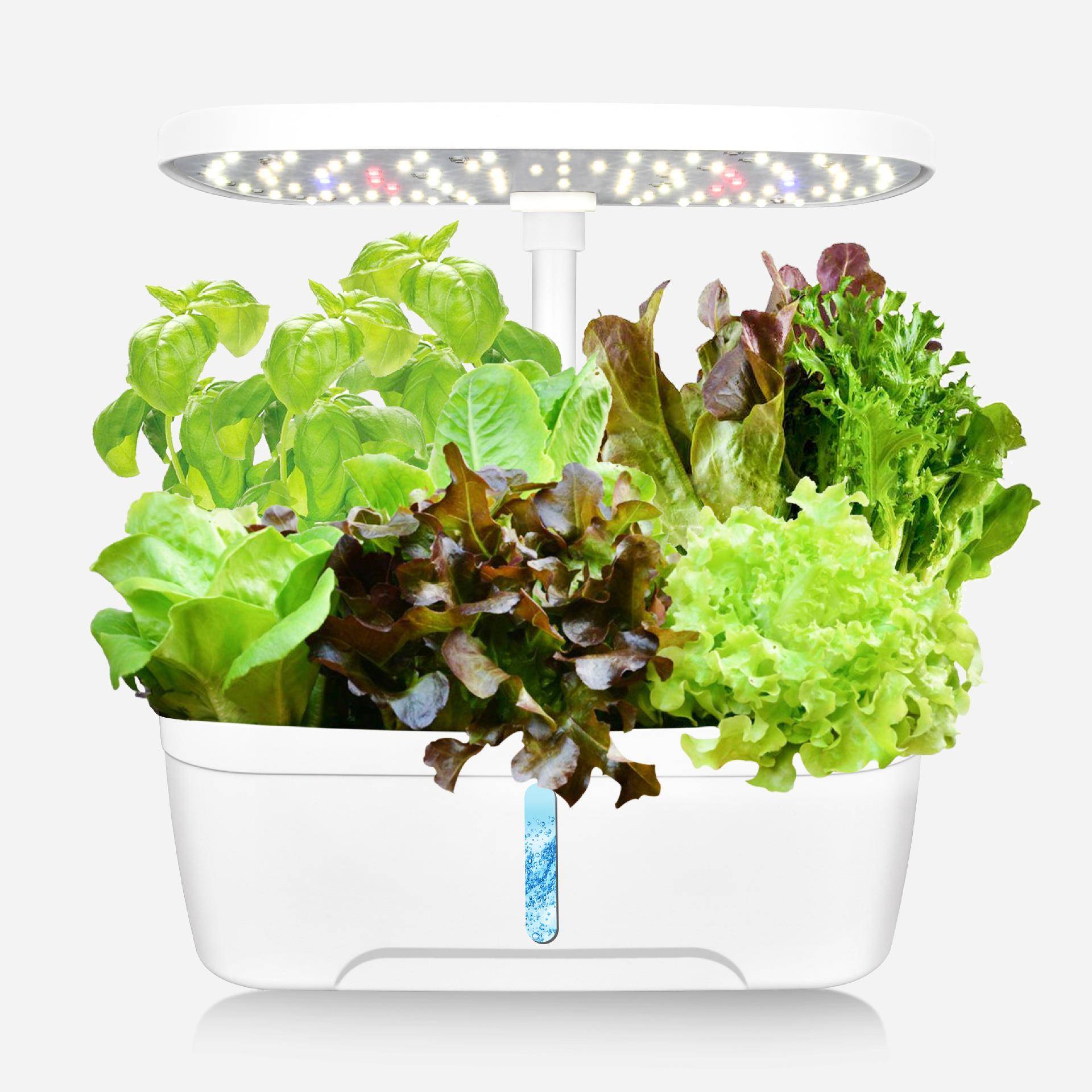 室内水智能水培植物l种植机蔬菜多肉花盆无培土e栽培设备d植物生