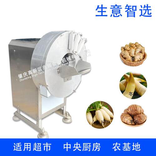 电动笋小笋片机切丝姜片机ZH-SS500KSE丝型切姜机不锈钢切丝姜切