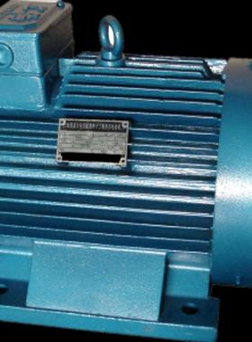 销售YZR132M-6YZB154132M2-63.7KW转起重及冶金2用绕线子电动机