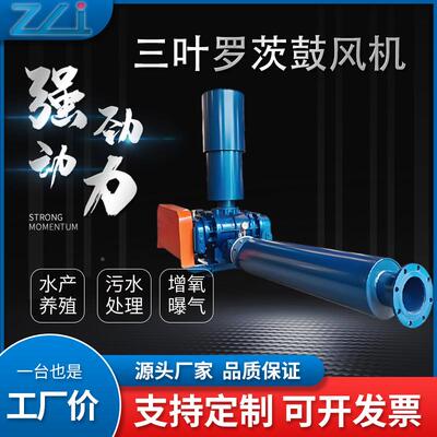 罗茨水鼓风机型LUF号污维修三叶罗茨风机气力输送处理罗茨用风机