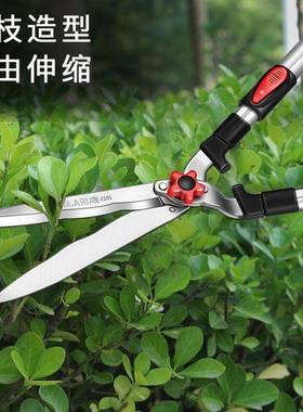 USZ精工园剪用刀剪果树修花艺剪园林修枝剪修草坪绿篱专强力剪子