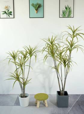 仿血真绿落植千年木龙铁树假铁物树盆栽北欧客厅室内造景地220304