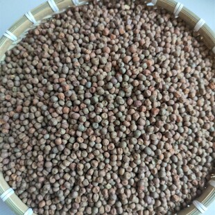 10斤装农家精品枫豆麻豌豆麻豆鸽粮赛飞信鸽粮食鸟食配料包邮