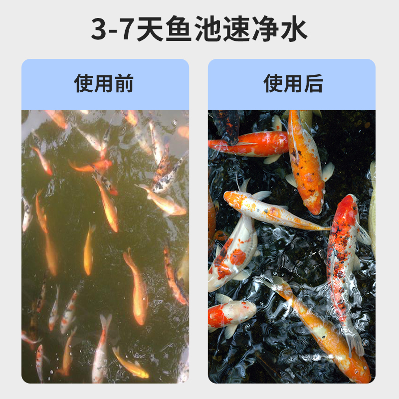 鱼池过滤器瀑布水循环过滤系统庭院大型室外户外水池净化净水设备