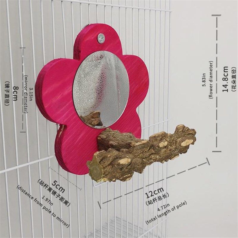 宠物用品玩具鸟镜子鹦鹉镜子花椒木镜子鹦鹉专用镜子宠物鸟玩具,宠物/宠物食品及用品,鸟玩具,淘宝优惠券,粉丝福利购,淘宝优惠卷