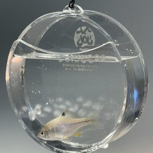 燕十山yss小物钓专用透明圆形观鱼盒手提带刻度亚克力小鱼观察盒