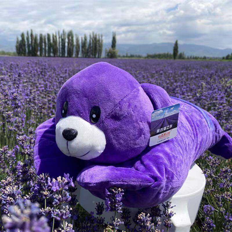 薰衣草，薰衣草熊枕枕荞、花草头薰衣005草+麦各50枕%厂家直销,床上用品,功能枕/保健枕/养生枕,淘宝优惠券,粉丝福利购,淘宝优惠卷