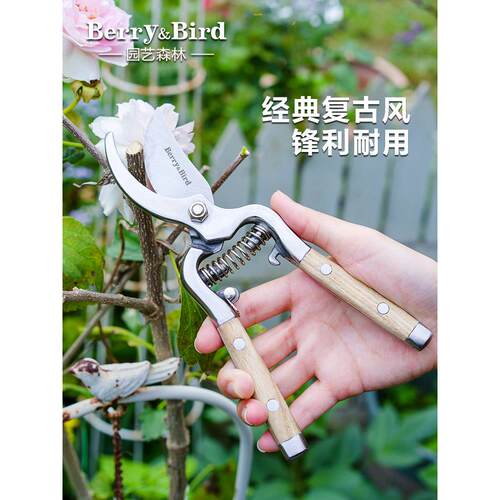 Berry&Bird覆古园艺剪刀木柄粗枝花卉盆景修枝剪子省力修剪工具