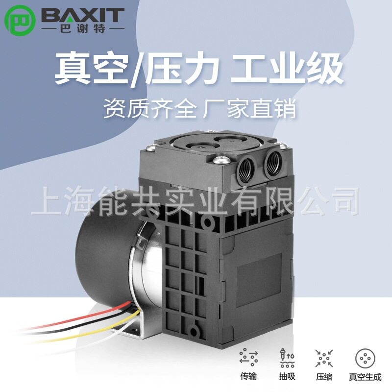 巴谢特微型隔膜泵无油调速抽打