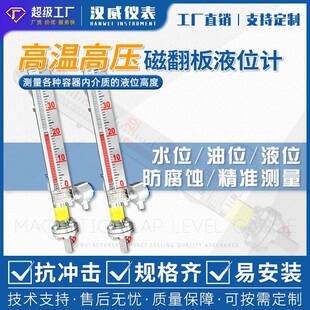 高温高压304/316材质磁翻板液位计远传磁翻板液位计电伴热磁翻板