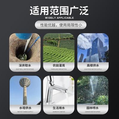 型水泵家用220V潜抽水机高扬程抽61016水泵农用泵淋菜泵小潜水泵