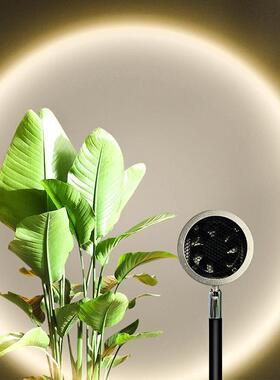 室内仿全光谱补光灯植led太阳光家热植阳台兰花卉81908绿植用生长