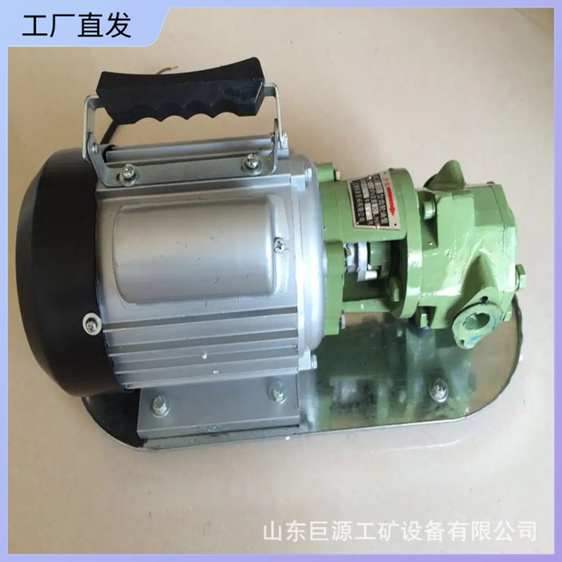 不锈钢圆弧齿轮泵厂家直供汽油柴油泵工作可靠卧式电动燃油泵