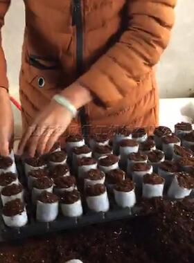 压蔬菜育块机轻基卧式网袋制苗钵机全自动无纺布营养块育99328苗
