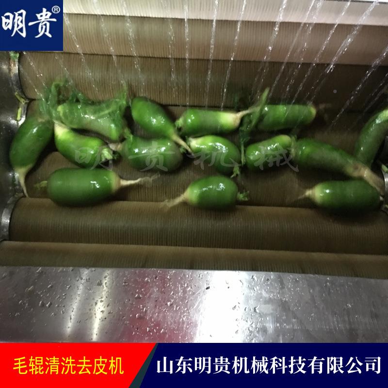 连续自式螺旋毛辊动洗土豆洗机莲器红薯藕去皮LCE机扇贝清去杂机