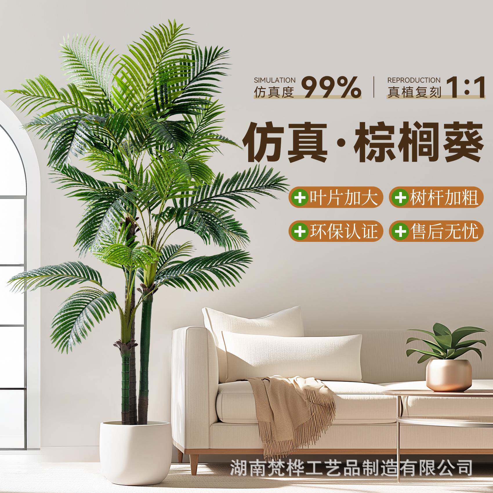大型ZLK仿葵真植棕榈椰子树绿室内假植物散尾葵针葵盆阳台客栽厅