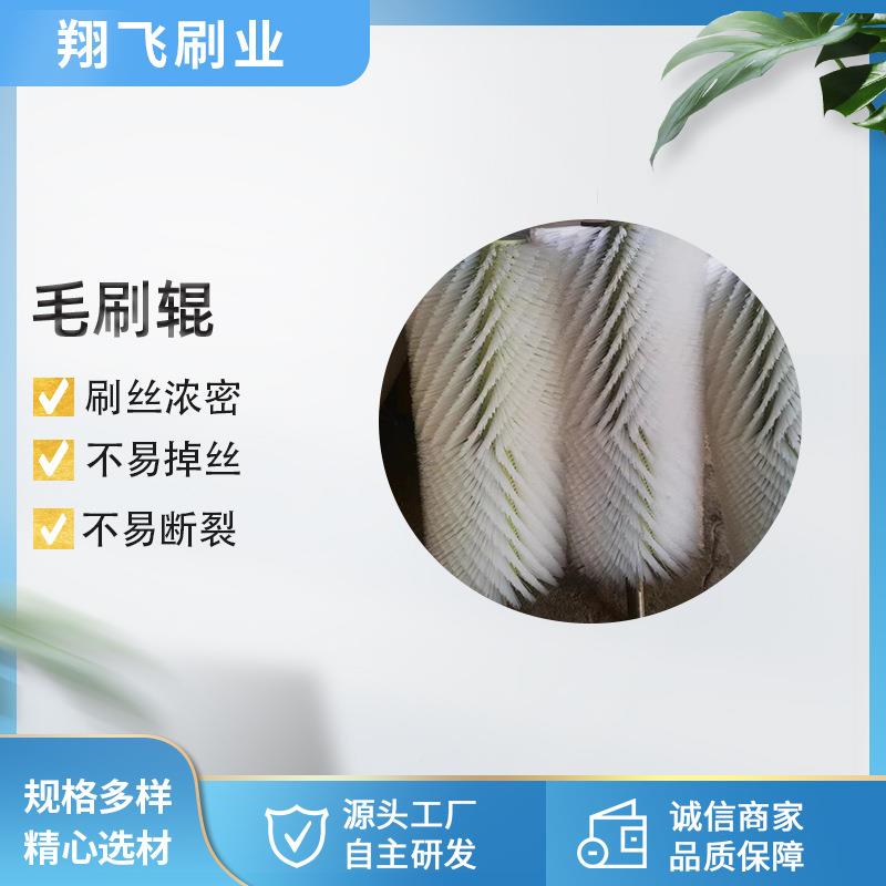 抛家直供清洗玻璃果蔬龙毛刷轮除尼尘光圆形工厂业毛943刷辊