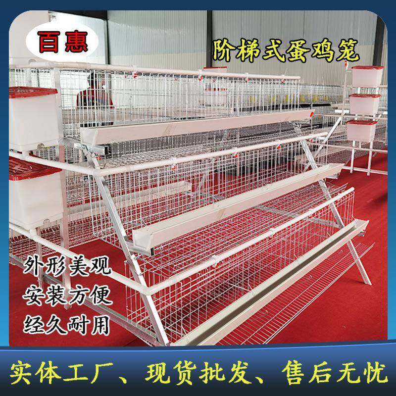 养场用三层四门白蛋槽笼鸡笼殖RCU设备热镀锌多层阶梯式养鸡设备