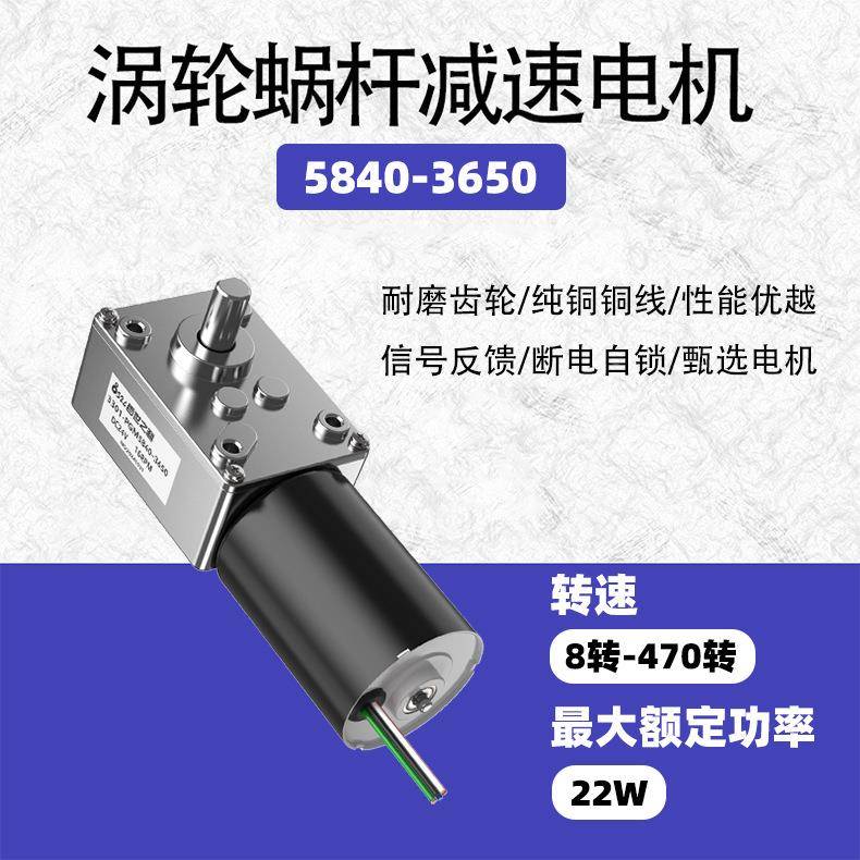 5840-马3锁650无刷电机蜗TTV轮蜗直流减速大扭矩低速杆达脉冲自刹