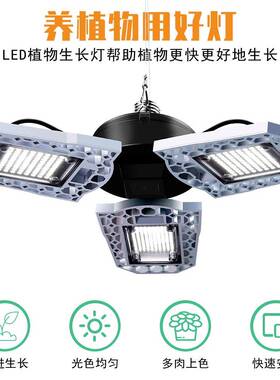 防水植物eEd自l然CSO白折叠种植补光灯全光谱27植物生长灯泡三灯