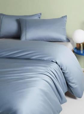 夏季丝滑60支天丝双2500x203被罩单人BWC10x200人被套单件