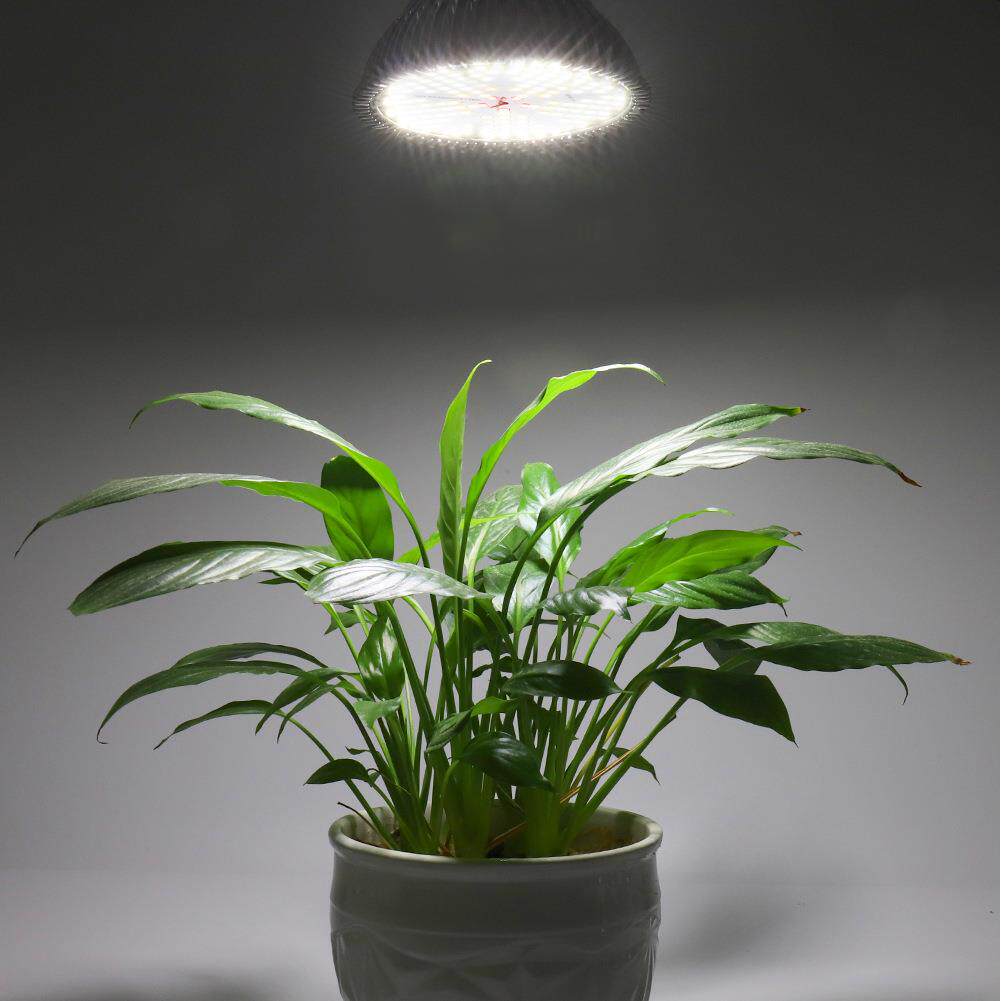 PA38铝壳15ZW03010珠LED红植物灯白加家光用阳台大棚种植生灯长灯