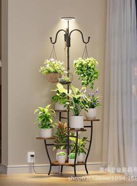室内带生长HJ24021植物架板植物架角形植物木架花架灯高客厅S形植