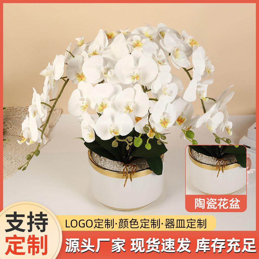 欧式轻奢蝴蝶兰陶瓷盆栽办公桌面装饰盆景室内卧室布置PU绿植摆件