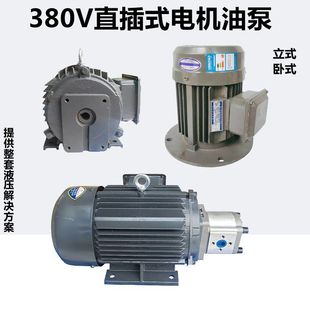 380V三相电机齿轮泵液压油泵总成1.5KW2.2KW3.0KW内轴直插式 电机