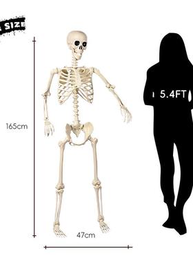 万圣节新款架人YTB活动关节可站立骨骨派酒吧鬼屋装饰气氛布对置