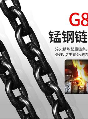 扳劲WDP友手葫芦3米21t吨吊葫起重手动小型手摇紧芦线链器条拉紧