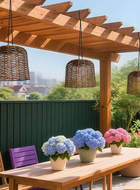 FXTD11太阳能挂灯户外吊院灯庭防水手挂工编织充电自树天黑动亮氛