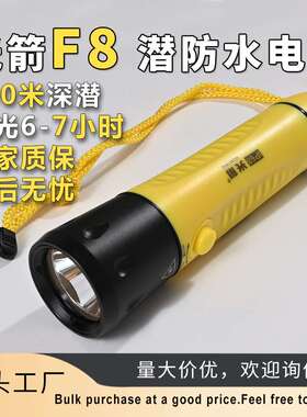 Fitech光箭 F8潜水手电筒 强光LED光箭ip68潜水电筒 户外远射潜水