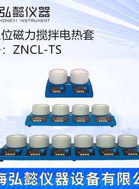 ZNCL-TS两联四联六联磁力搅拌电热套智能恒温转速数显烧瓶蒸馏器