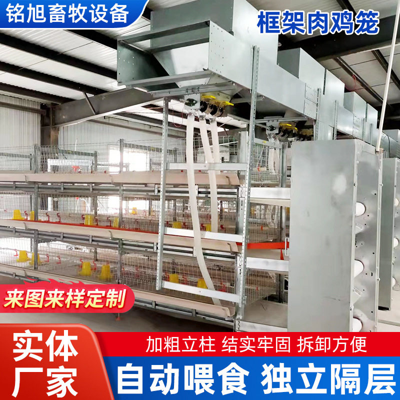 框架肉鸡笼自动喂料自动清粪系统高密度养殖笼多层叠式饲养蛋鸡笼