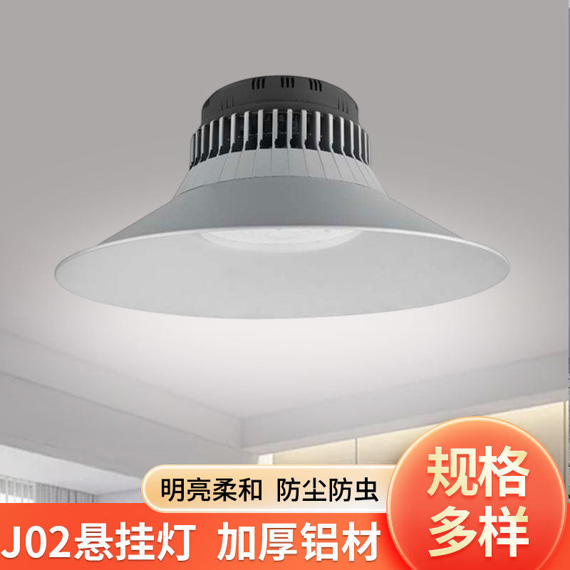 三雄金品悬挂灯民宿亭院餐厅玄关阳台家用铝材灯体加厚灯罩易安装