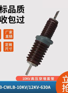 CWLB-10KV户外高压穿墙套管陶瓷绝缘瓷套管CWWCWB-12KV/400A630A