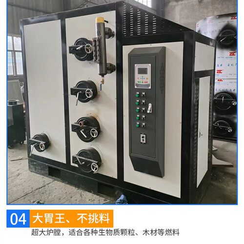 生物质颗粒锅炉全自动蒸汽发生器饮料加工蒸汽发生器锅炉