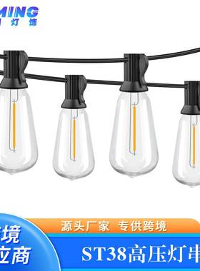 ST38LED高压灯串户外防水灯串庭院灯圣诞节装饰塑胶灯串