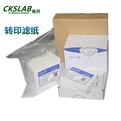 点睿CKSLAB湿转转印滤纸转膜蛋白转印WesternblotTFP-2006