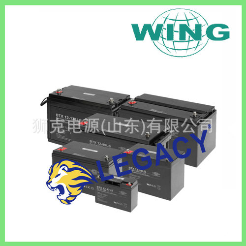 德国WING蓄电池BTX12-100LS、BTX12-120LS-S、BTX12-134LS电瓶